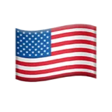 🇺🇸