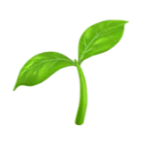 🌱