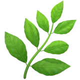 🌿