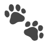 🐾