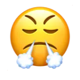 😤
