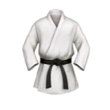 🥋
