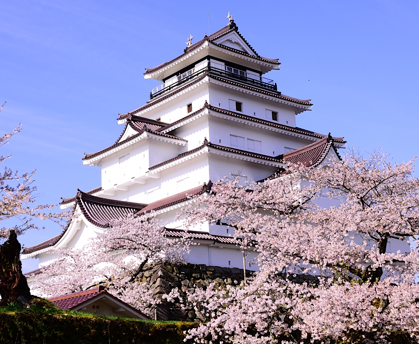 ジグソーパズルのヒント：鶴ヶ城と桜