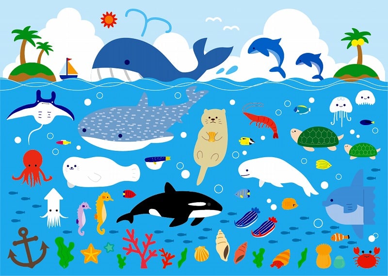 ジグソーパズルのヒント：海の生き物たちのイラスト