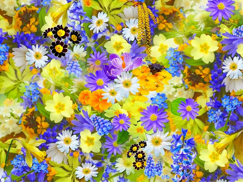 ジグソーパズルのヒント：色鮮やかな花たち
