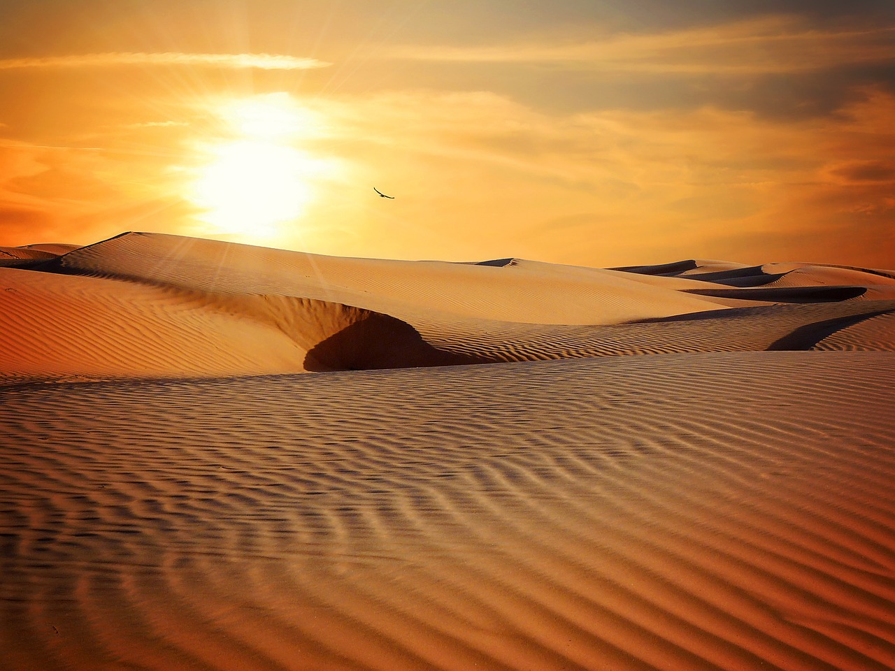 ジグソーパズルのヒント：砂漠の夕日