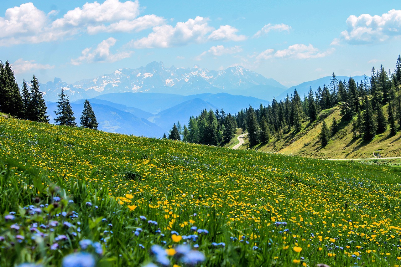 ジグソーパズルのヒント：アルプス山脈の花畑