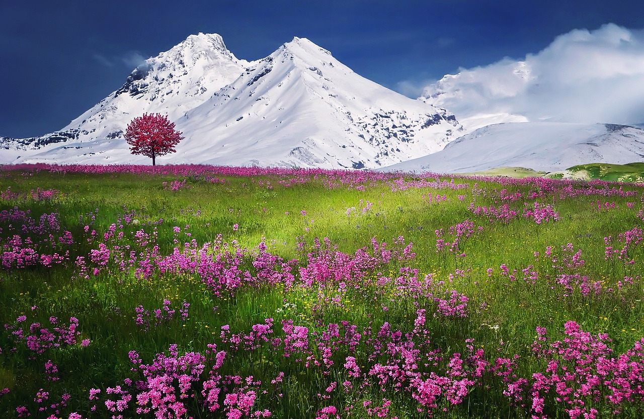 ジグソーパズルのヒント：雪山と花