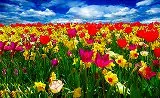 花のジグソーパズル