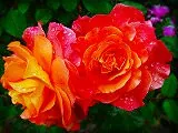 花のジグソーパズル