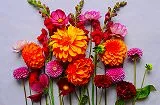 花のジグソーパズル