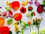 花のジグソーパズル