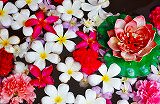 無料ジグソーパズルゲーム「色とりどりの花たち」