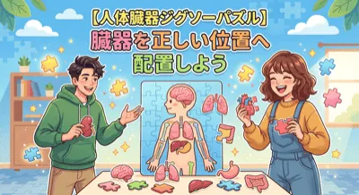 人体臓器<br>ジグソーパズル